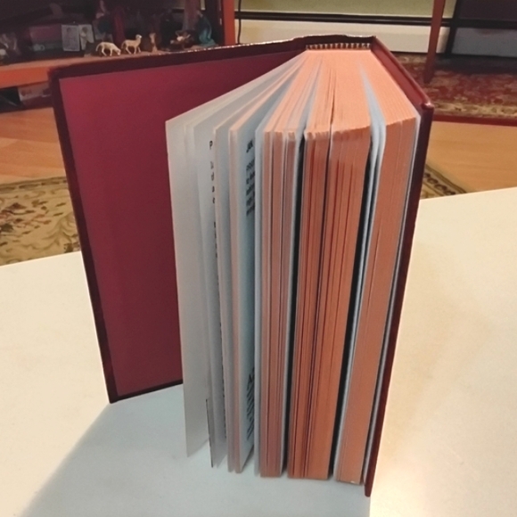 Lives Of The Saints II Book New (NWOT) - Picture 8 of 15